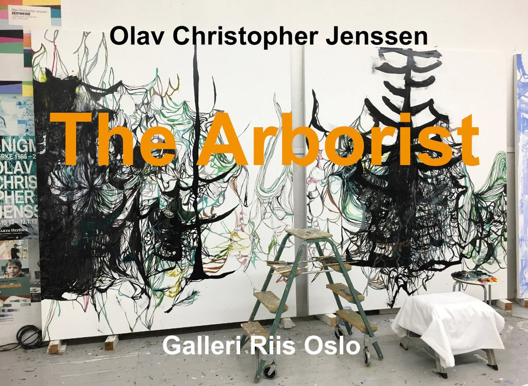 Oc jenssen galleririis web intro