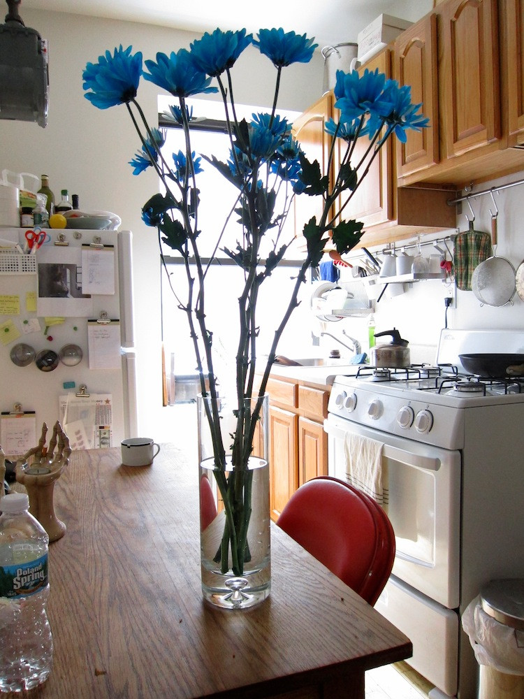 Emf290 blue flowers