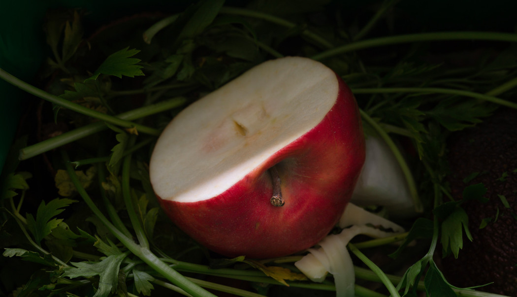 Maf171 fallen apple skin  core and tissue 2021 mortenanden%c3%a6s galleririis 011